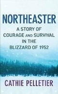 Cover: Northeaster - Center Point