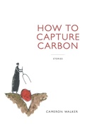 Cover: How to Capture Carbon, Stories - What Books Press