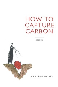 Enlarge image Cover: How to Capture Carbon, Stories - What Books Press