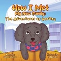 Cover: How I Met My New Family - Shine Light Books