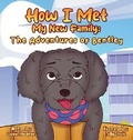 Cover: How I Met My New Family - Shine Light Books