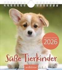Abbildung von: Wandkalender Süße Tierkinder 2026 - arsEdition