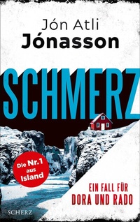 Abbildung von: Schmerz - S. Fischer