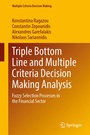 Cover: Triple Bottom Line and Multiple Criteria Decision Making Analysis - Springer