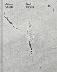 Abbildung von: Geister Ghosts - Verlag für moderne Kunst