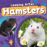 Abbildung von: Hamsters - BookLife Publishing