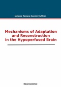 Bild: Mechanisms of Adaptation and Reconstruction in the Hypoperfused Brain - BoD - Books on Demand