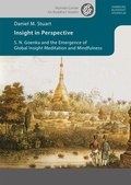 Cover: Insight in Perspective - Projekt