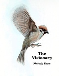Cover: The Visionary - Melody Hope