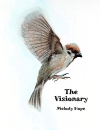 Enlarge image Cover: The Visionary - Melody Hope