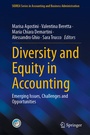 Cover: Diversity and Equity in Accounting - Springer