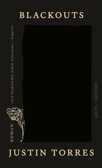 Enlarge image Cover: Blackouts - park x ullstein