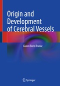 Abbildung von: Origin and Development of Cerebral Vessels - Springer