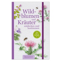 Abbildung von: Wildblumen und Kräuter entdecken und bestimmen - Lingen Verlag