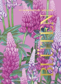 Abbildung von: Blüten - Gerstenberg