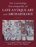 Cover: The Cambridge Encyclopaedia of Late Antique Art and Archaeology: Volume 1, Architecture, Artifacts and Evidence - Cambridge University Press