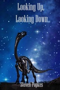 Cover: Looking Up, Looking Down - Steven Popkes