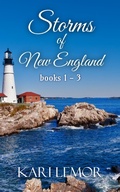 Cover: Storms of New England - Rycon Press