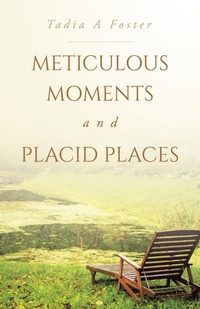 Abbildung von: Meticulous Moments and Placid Places - WestBow Press
