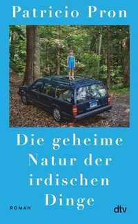 Abbildung von: Die geheime Natur der irdischen Dinge - dtv