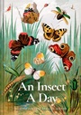 Cover: An Insect A Day - Batsford