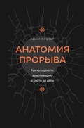 Cover: Anatomiya proryva. Kak kupirovat demotivatsiyu i doyti do tseli - Ast