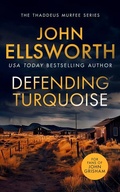 Cover: Defending Turquoise - Vinci Books