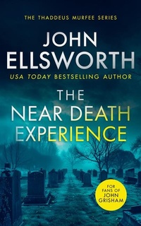 Enlarge image Cover: The Near Death Experience - Vinci Books