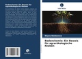 Cover: Bodenchemie - Verlag Unser Wissen