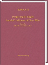 Abbildung von: Deciphering the Illegible - Harrassowitz Verlag