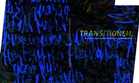 Enlarge image Cover: Transitionen - efau verlag