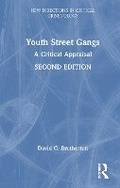 Cover: Youth Street Gangs - Routledge