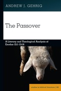 Cover: The Passover - Peter Lang Verlag