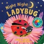 Cover: Night Night Ladybug - Sourcebooks Explore