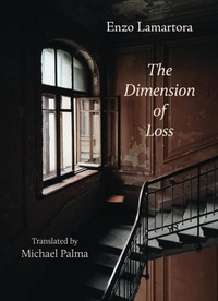 Enlarge image Cover: The Dimension of Loss - FOMITE