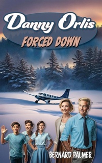 Enlarge image Cover: Danny Orlis Forced Down - Aneko Press Youth