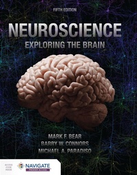Abbildung von: Neuroscience: Exploring the Brain - Jones and Bartlett Publishers, Inc