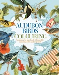 Cover: Audubon Birds Colouring Kit - Arcturus