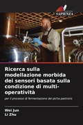 Cover: Ricerca sulla modellazione morbida dei sensori basata sulla condizione di multi-operativita - Edizioni Sapienza