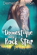 Cover: Domestique pour la Rock Star (Romance &Icirc;le Resort, #1) - Lost Plot Press