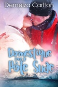 Cover: Domestique pour le P&ocirc;le Sude (Romance &Icirc;le Resort, #7) - Lost Plot Press