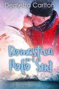 Cover: Domestica per il Polo Sud (Resort dell'isola di Romance, #7) - Lost Plot Press