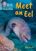 Cover: Meet an Eel - Collins