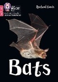 Cover: Bats - Collins