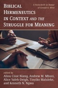 Cover: Biblical Hermeneutics in Context and the Struggle for Meaning - Pickwick Publications