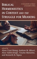 Cover: Biblical Hermeneutics in Context and the Struggle for Meaning - Pickwick Publications