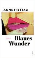 Cover: Blaues Wunder - Kampa Verlag