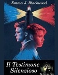 Cover: Il Testimone Silenzioso - Domenico Starnini