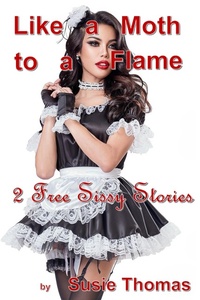 Enlarge image Cover: Like A Moth To A Flame - S-T Press