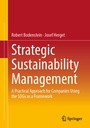 Cover: Strategic Sustainability Management - Springer